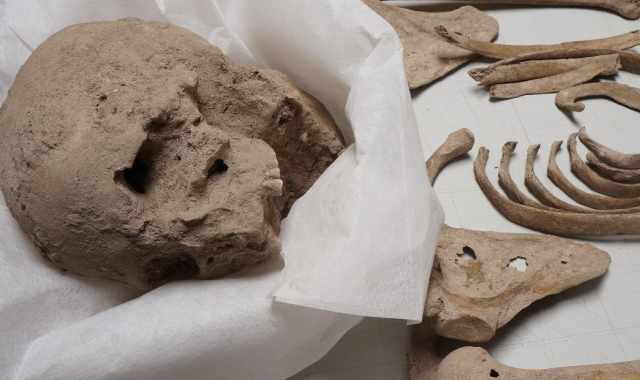 Scheletri, olle e monete: ecco i resti della "Bari romana" rinvenuti sotto via Argiro